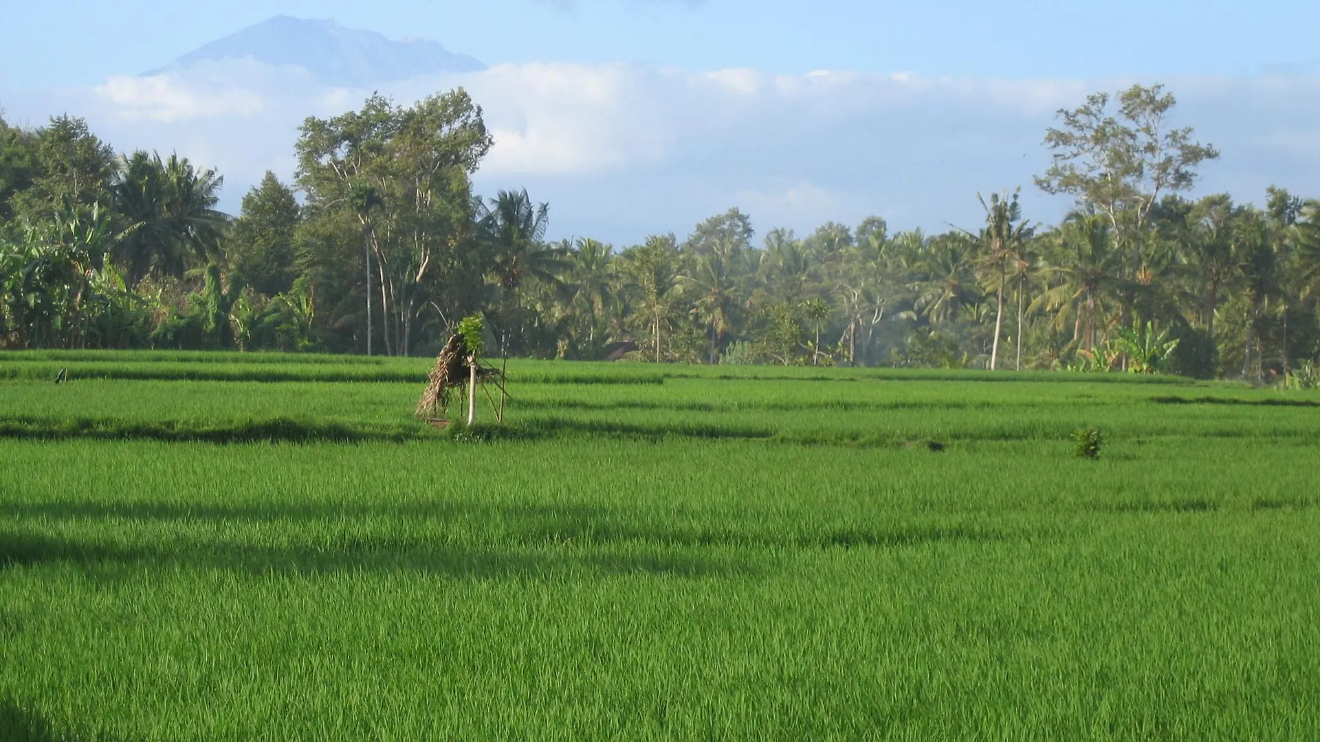 Village de vacances Taman Harum Cottages Ubud